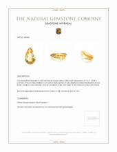 5.00 Ct. Citrine from Ceylon (Sri Lanka) Appraisal