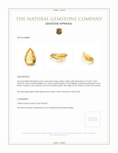 4.44 Ct. Citrine from Ceylon (Sri Lanka) Appraisal