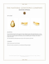3.99 Ct. Citrine from Ceylon (Sri Lanka) Appraisal