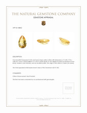 4.58 Ct. Citrine from Ceylon (Sri Lanka) Appraisal