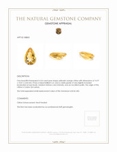 4.54 Ct. Citrine from Ceylon (Sri Lanka) Appraisal