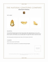 4.84 Ct. Citrine from Ceylon (Sri Lanka) Appraisal