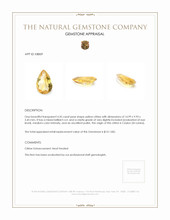 4.35 Ct. Citrine from Ceylon (Sri Lanka) Appraisal
