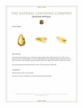 4.61 Ct. Yellow Citrine from Ceylon (Sri Lanka) Appraisal