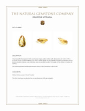 4.83 Ct. Citrine from Ceylon (Sri Lanka) Appraisal