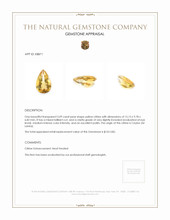 5.09 Ct. Citrine from Ceylon (Sri Lanka) Appraisal
