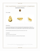 4.69 Ct. Citrine from Ceylon (Sri Lanka) Appraisal