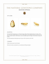 4.16 Ct. Citrine from Ceylon (Sri Lanka) Appraisal