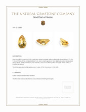 5.20 Ct. Citrine from Ceylon (Sri Lanka) Appraisal