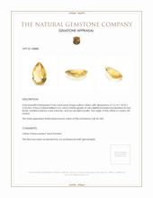 4.46 Ct. Citrine from Ceylon (Sri Lanka) Appraisal