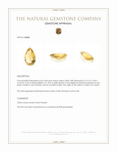 4.46 Ct. Citrine from Ceylon (Sri Lanka) Appraisal