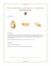 4.48 Ct. Citrine from Ceylon (Sri Lanka) Appraisal