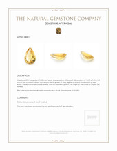 3.68 Ct. Citrine from Ceylon (Sri Lanka) Appraisal