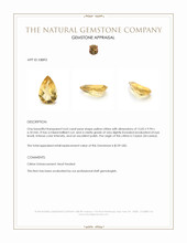 4.63 Ct. Citrine from Ceylon (Sri Lanka) Appraisal