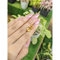 4.79 Ct. Citrine from Ceylon (Sri Lanka) Life Style