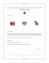 1.20 Ct. Zircon from Ceylon (Sri Lanka) Appraisal