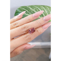 5.73 Ct. Tourmaline from Brazil Life Style