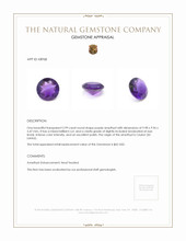 2.99 Ct. Amethyst from Ceylon (Sri Lanka) Appraisal