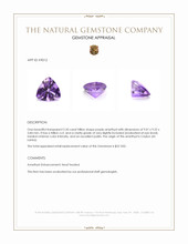2.20 Ct. Amethyst from Ceylon (Sri Lanka) Appraisal