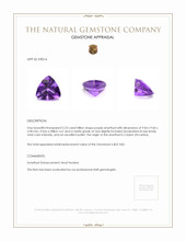 2.23 Ct. Amethyst from Ceylon (Sri Lanka) Appraisal