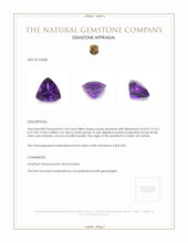 2.44 Ct. Amethyst from Ceylon (Sri Lanka) Appraisal