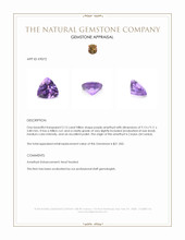 2.12 Ct. Amethyst from Ceylon (Sri Lanka) Appraisal