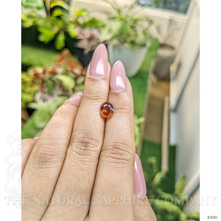 2.21 Ct. Zircon from Ceylon (Sri Lanka)