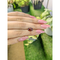 3.00 Ct. Zircon from Ceylon (Sri Lanka) Life Style