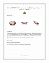 1.99 Ct. Zircon from Ceylon (Sri Lanka) Appraisal