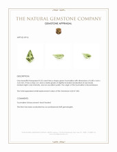 0.35 Ct. Tourmaline from Mozambique Appraisal