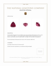 2.55 Ct. Tourmaline from Madagascar Appraisal