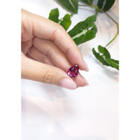 6.06 Ct. Tourmaline from Madagascar Life Style
