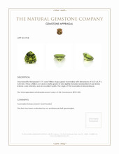 Jewelry Appraisal