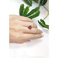 3.61 Ct. Tourmaline from Madagascar Life Style