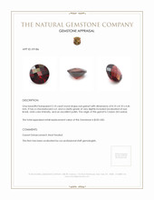 2.10 Ct. Garnet from Ceylon (Sri Lanka) Appraisal