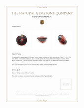 2.35 Ct. Garnet from Ceylon (Sri Lanka) Appraisal