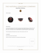 3.02 Ct. Garnet from Ceylon (Sri Lanka) Appraisal