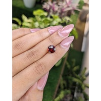 2.74 Ct. Garnet from Ceylon (Sri Lanka) Life Style