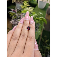 2.20 Ct. Garnet from Ceylon (Sri Lanka) Life Style
