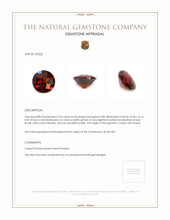 2.55 Ct. Garnet from Ceylon (Sri Lanka) Appraisal