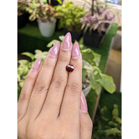 2.55 Ct. Garnet from Ceylon (Sri Lanka) Life Style