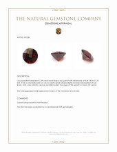 2.39 Ct. Garnet from Ceylon (Sri Lanka) Appraisal