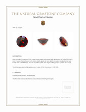 2.05 Ct. Garnet from Ceylon (Sri Lanka) Appraisal