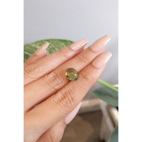 4.04 Ct. Cabochon Tourmaline from Mozambique Life Style