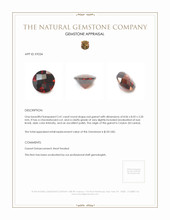 2.41 Ct. Garnet from Ceylon (Sri Lanka) Appraisal