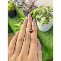 2.50 Ct. Garnet from Ceylon (Sri Lanka) Life Style