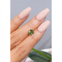 1.52 Ct. Tourmaline from Mozambique Life Style
