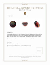 2.50 Ct. Garnet from Ceylon (Sri Lanka) Appraisal