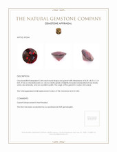 2.44 Ct. Garnet from Ceylon (Sri Lanka) Appraisal