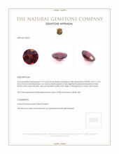 2.13 Ct. Garnet from Ceylon (Sri Lanka) Appraisal